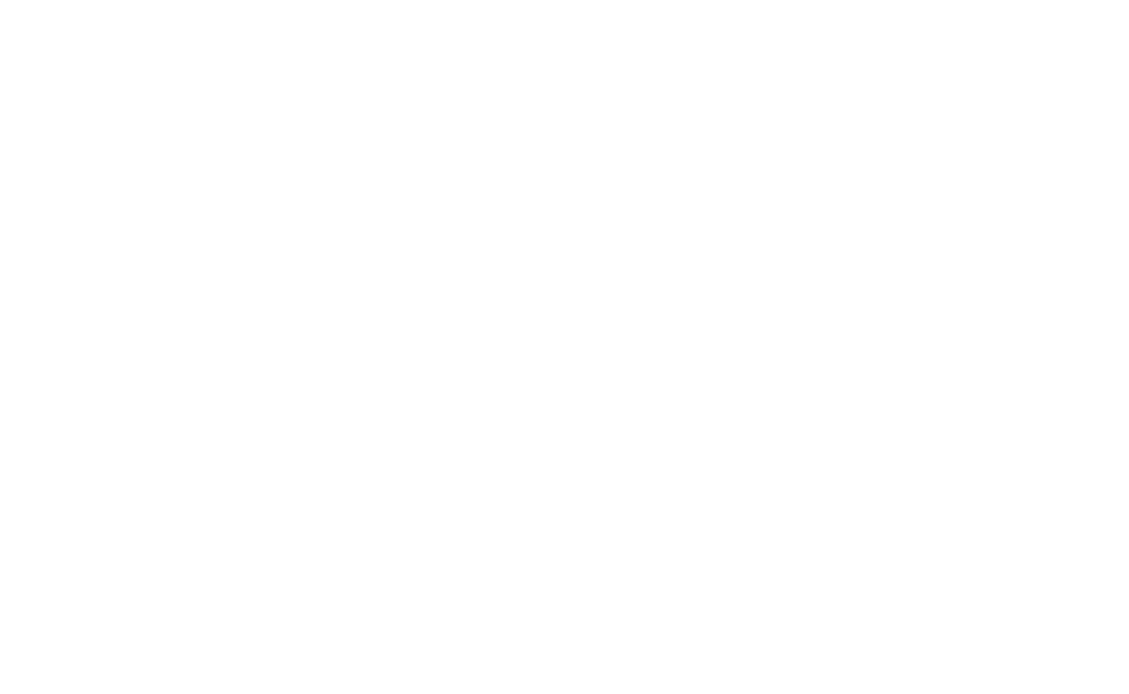 Ace Hardware