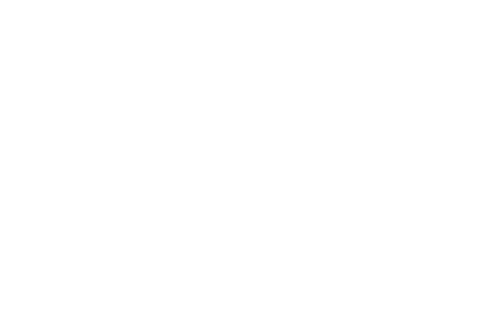 Ace Hardware